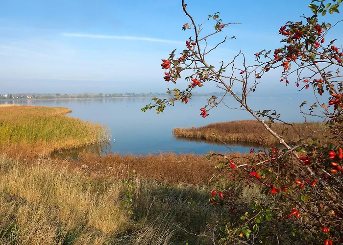 Lägenhet Gollwitzer Park Seeperle Insel Poel